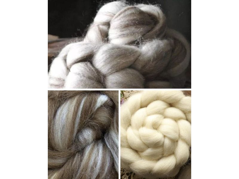 Wool Roving for Wet Felting